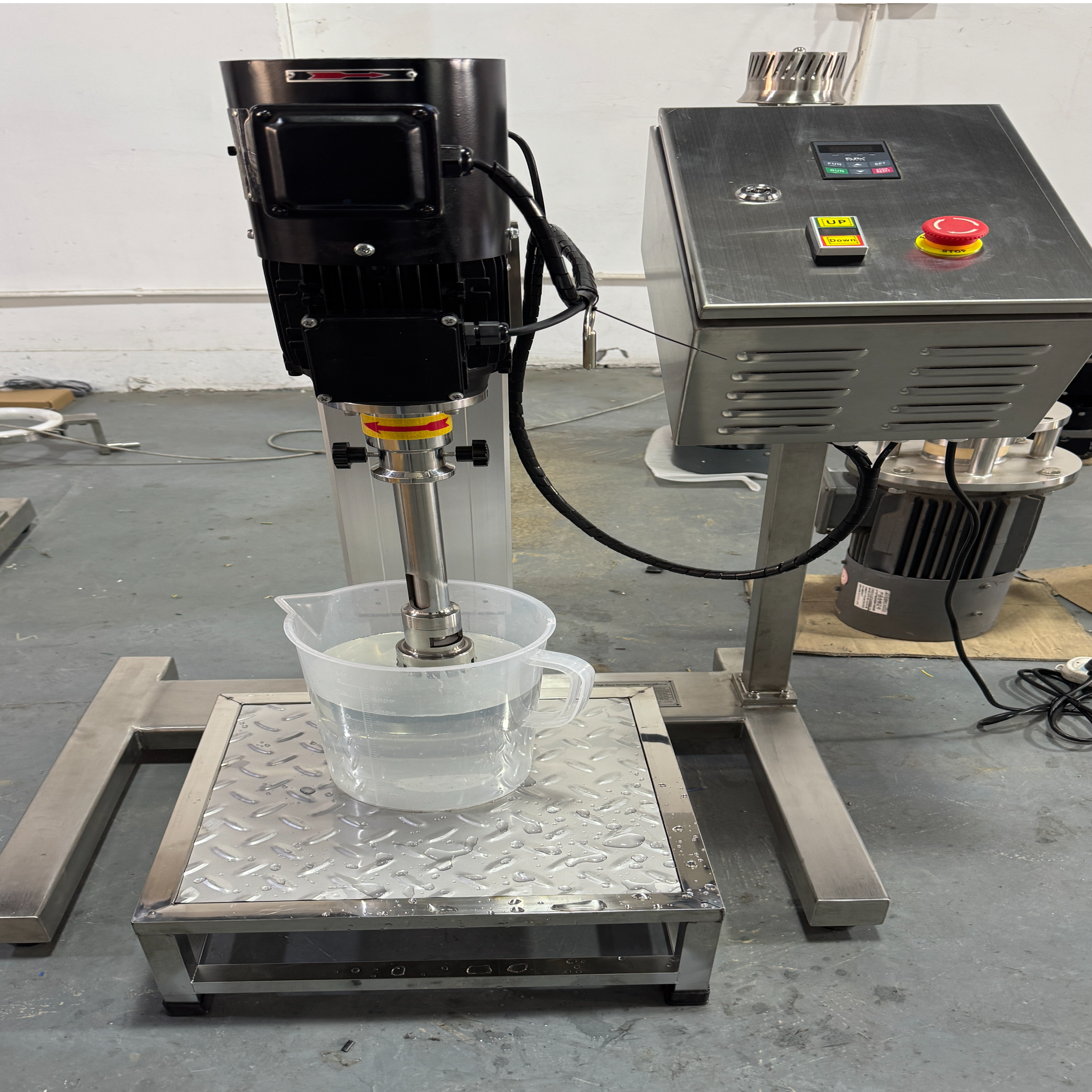 Berbica 1000L Homogenize To Romania, 50L Homogenizer To Australia